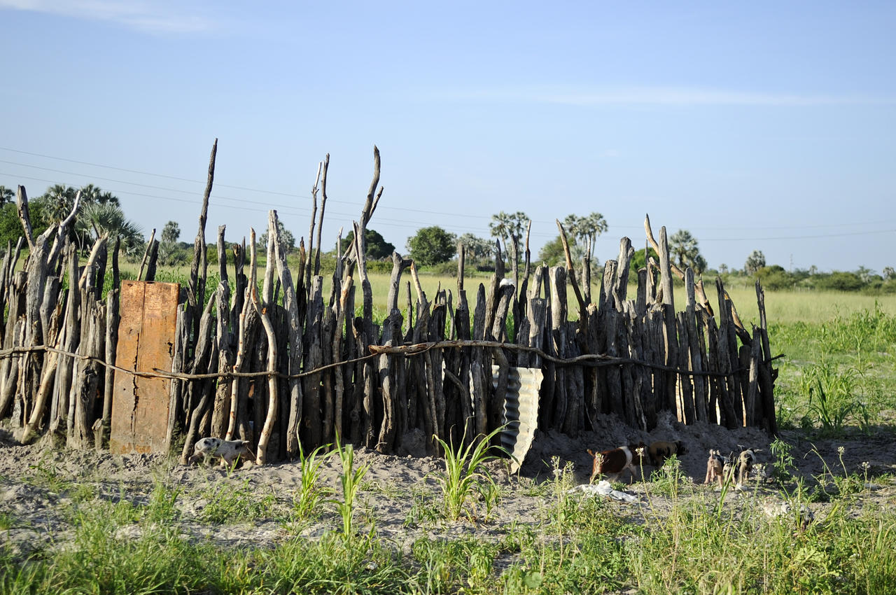 Ongula Village Homestead Lodge Omupumba Exterior photo